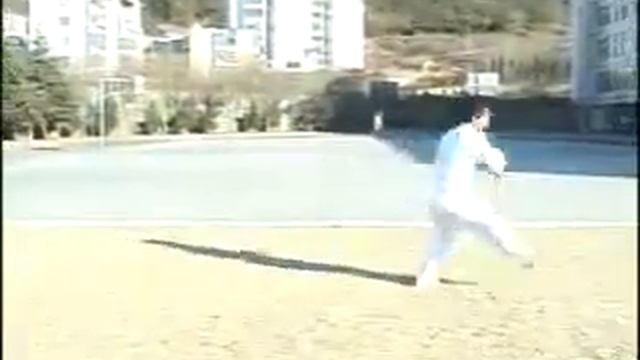 Багуа синъи  / Bagua Xingyi