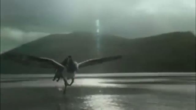 Поёт Дима Машнин. смотреть онлайн