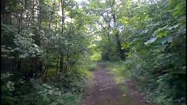 KoZa DeReZa / ГуЛяЕм у ЗаБрОшЕнНоЙ БоЛьНиЧкЕ / смотреть онлайн