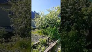 СНТ Лисьи Борки дом, баня 830 000 рублей