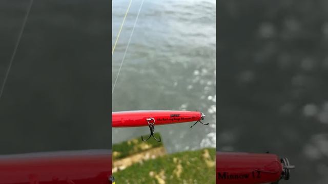 Rapala Max Rap Long Range Minnow 12 смотреть онлайн