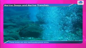 Structure of Ocean Floor | Class 8 | Maharashtra Board  | Geography