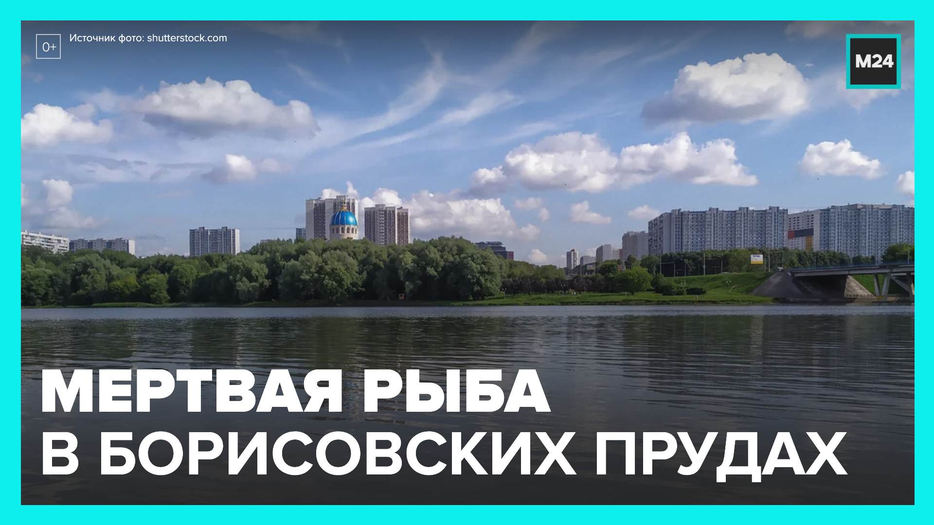 В Борисовских прудах обнаружили множество мертвой рыбы - Москва 24