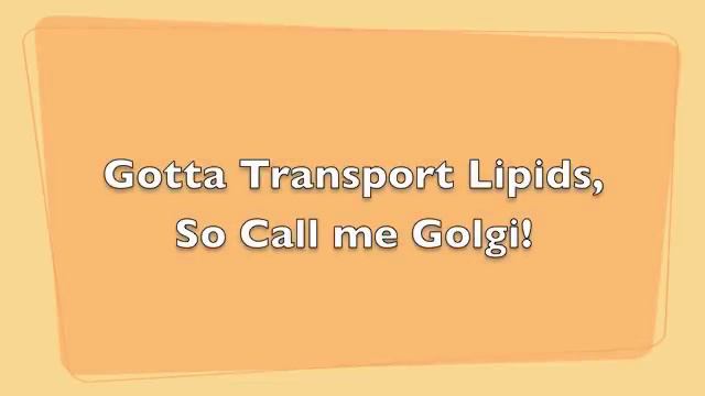 Call Me Golgi (Carly Rae Jepsen Call Me Maybe PARODY) смотреть онлайн