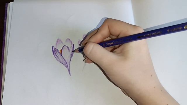 Как нарисовать крокусы цветными карандашами ? смотреть онлайн