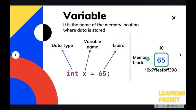 #2.2 | C Programming from Zero to Hero | Fundamental C Data Types | Size & Addresses of Variables