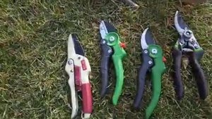 Обзор секаторов, которыми я работаю