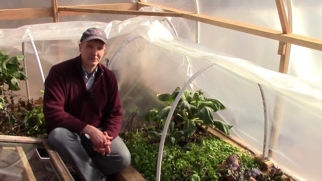 Is Bat Guano a Sustainable & Environmentally Friendly Fertilizer? смотреть онлайн