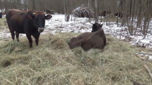 Делаем два важных дела одновременно.