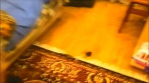 Укусил ПАУК/ОГРОМНЫЙ ПАУК ПОДКРАЛСЯ И УКУСИЛ Идем к доктору