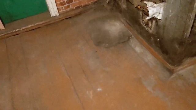 ☢️ 9 Серия_Заброшенный Дом/Разбираю Старую Печь/Чуть Не Задохнулся/Дел Ещё Много Но Меня Это Радует смотреть онлайн