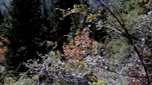 Ала Арча: Тропа к водопаду Ак Сай / Ala Archa: Ak Sai Waterfall Trail