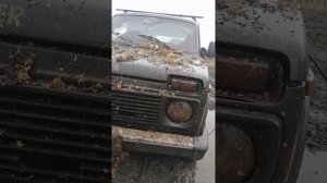 Нива 4#4 Оф Роуд Грязь Чернозём.Поездка в Мачим