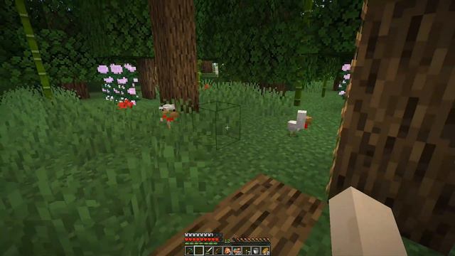 почкование цыплят смотреть онлайн