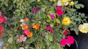 отправка заказов.mp4