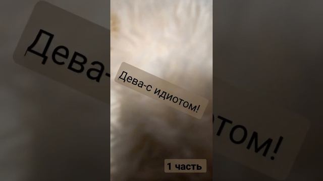 с кем будут встречаться зз 1 часть смотреть онлайн