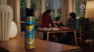 RAID Max Mata moscas y mosquitos (Argentina 2019)