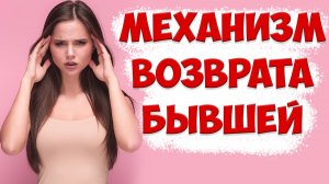 Главный способ возврата бывшей жены после развода. Как вернуть жену в отношения?