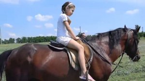 Девочка и конь...