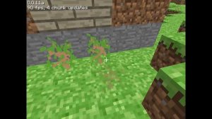 Minecraft 0.0.11a - Обзор