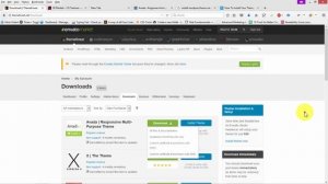 Activating Your Themeforest WordPress Themes | How to