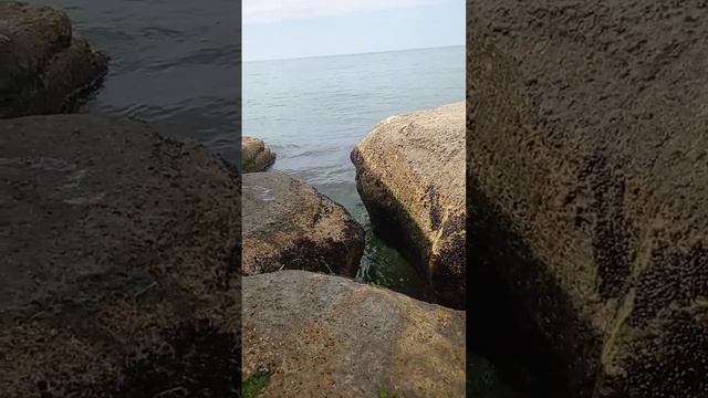 Каспийское море #Дагестан #горы #море