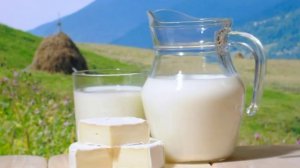 Внимание Бруцеллез