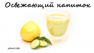 ОСВЕЖАЮЩИЙ НАПИТОК (огурец, мята и лимон) | список ингредиентов под видео 👇