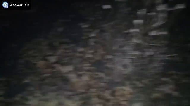 КУПИЛИ ДОМ В ДЕРЕВНЕ/РЕМОНТ НАЧИНАЕТСЯ/ЖИЗНЬ МОЛОДОЙ СЕМЬИ смотреть онлайн