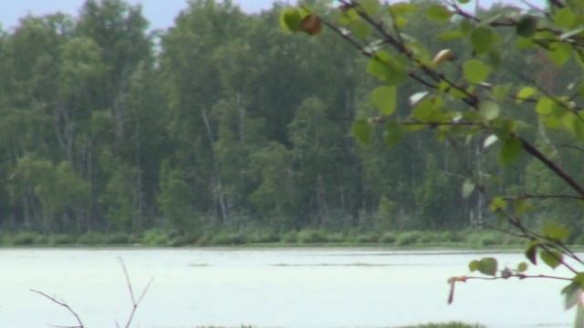 Шайтан 2012, часть 1-я.mp4 смотреть онлайн