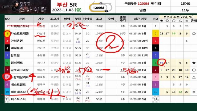 [999스나이퍼] 11/3 금요경마 예상 смотреть онлайн