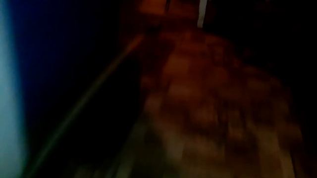 "((((?????!!!У кошки светятся глаза)))???!!!!!!"" смотреть онлайн