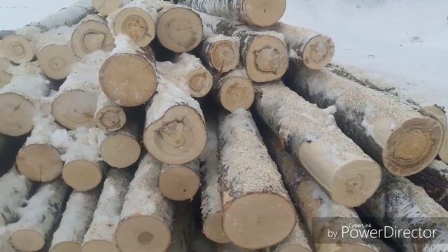 О проекте Дрова. Бизнес на дровах