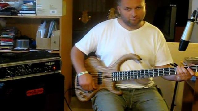 Blasius Kata 5 bassguitar with Prolude BHV 400 смотреть онлайн