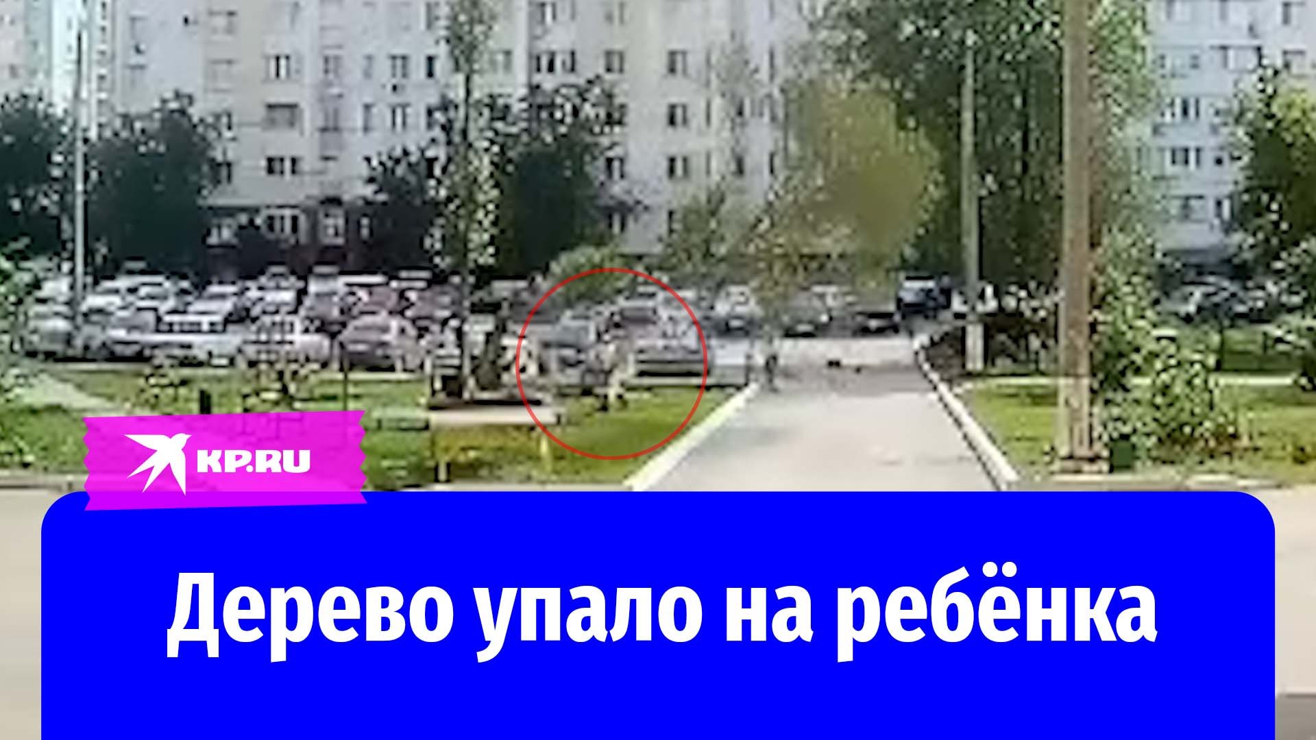 Дерево упало на ребёнка в Самаре