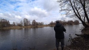 Сало для рыбалки в Марте на Леща и плотву  Какое сало лучше? bait for carp.bait for bream.
