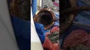 ⁉️Поднимается Вода в Унитазе|Что делать если Поднимается вода в Унитазе?