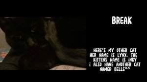 mha react to kurogiri // REUPLOAD // erasermic, cloudnight, vigilantes, manga spoilers // rts angst