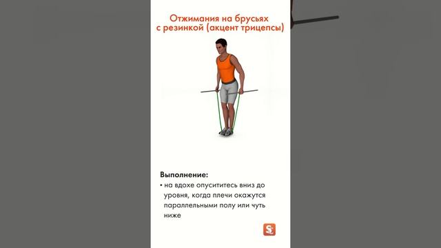 ? Отжимания на брусьях с резинкой (акцент трицепсы)