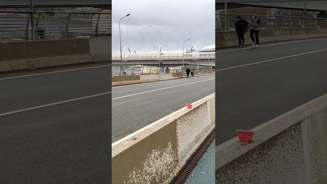 Пешеходный мост и Зенит -арена