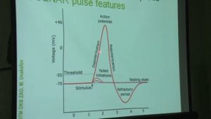 Доклад «СКЭНАР» и секреты эффективности». Часть 1.