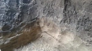 Яма для кроликов. Обзор.