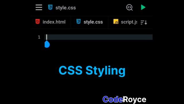 Custom color and Size adjuster using HTML CSS and javascript | Webdevlopment Project | css adjuster