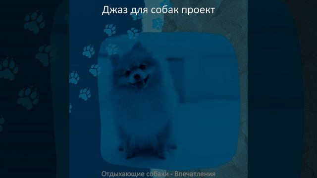 Атмосфера (Выгул собак) смотреть онлайн