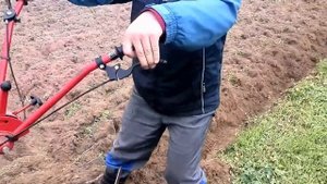 Мотоблок МТЗ Беларус-09Н . Вспашка сидератов.