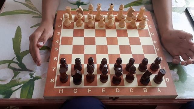 Учимся играть в шахматы