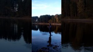 Рыбалка осень 2015 Рыбинское Водохранилище.