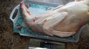 ???ПЕКИНСКИЕ УТОЧКИ ЗАБОЙ В 68дней)))