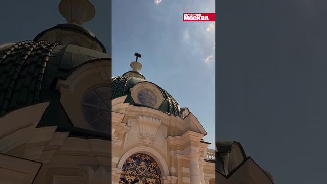 Гуляем ВМесте. Усадьба Кусково смотреть онлайн