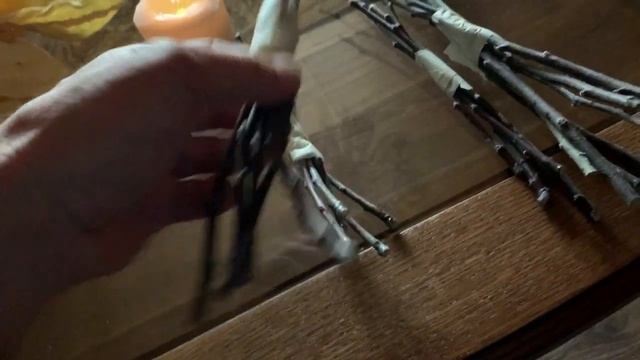 Прививка плодовых деревьев, заготовка черенков весной. Делюсь практическим опытом с начинающими.